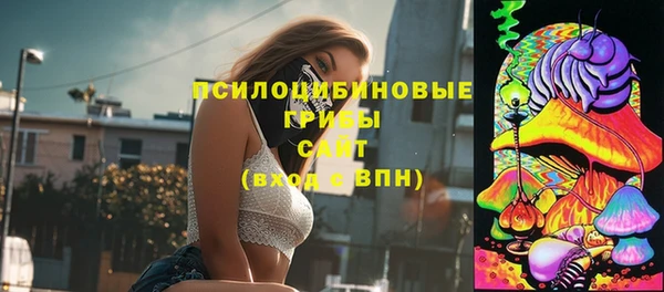 крисы Протвино